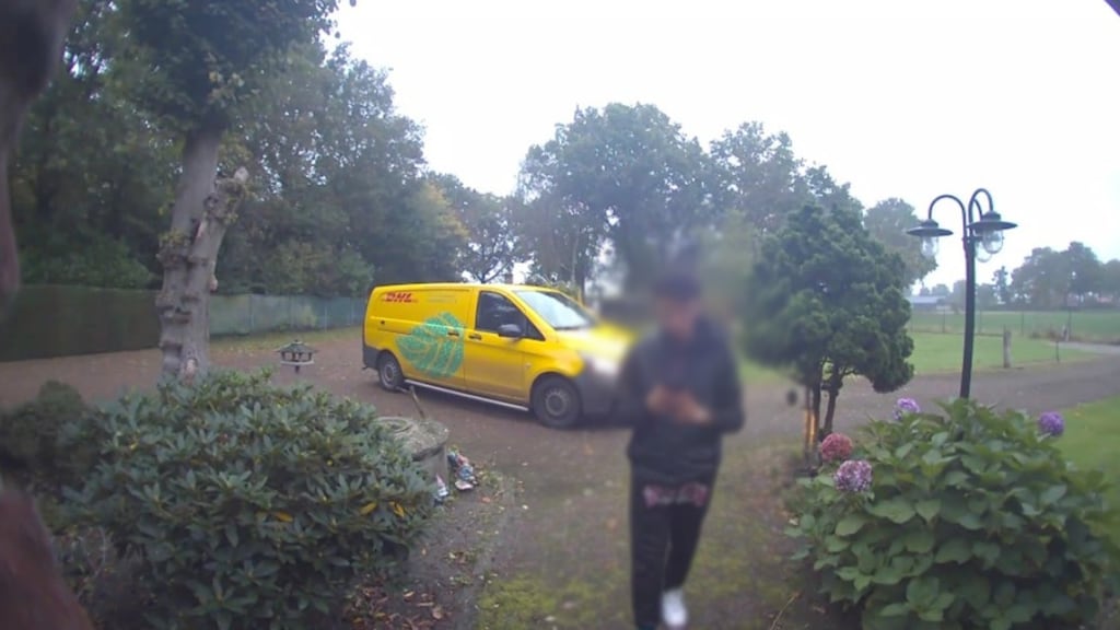 Beelden van een pakketbezorger van DHL, gedeeld in een grote Facebookgroep. (Door RTL onherkenbaar gemaakt)